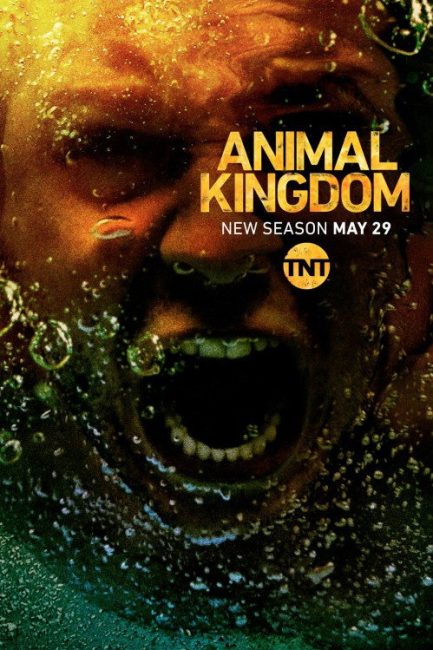 مسلسل Animal Kingdom الموسم الثالث الحلقة 12 مترجمة