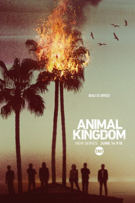 مسلسل Animal Kingdom الموسم الاول الحلقة 1 مترجمة