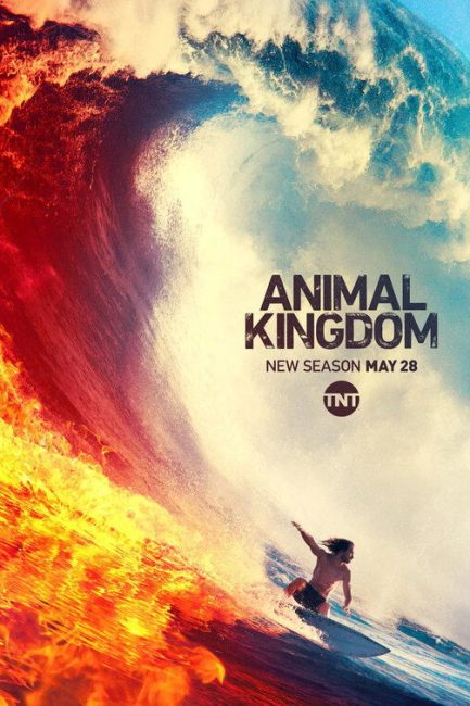 مسلسل Animal Kingdom الموسم الرابع الحلقة 2 مترجمة